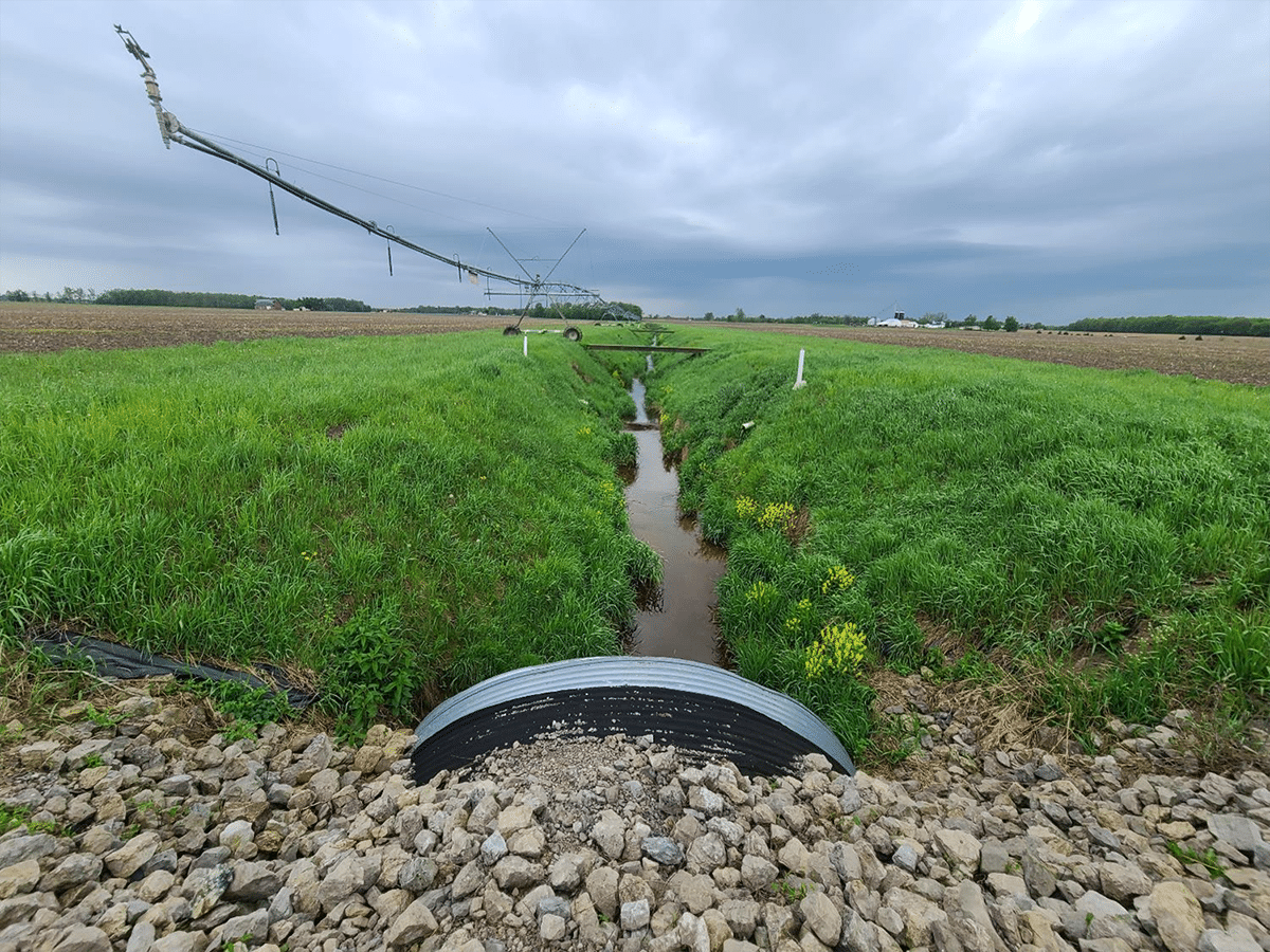 Water runoff from agricultural land.